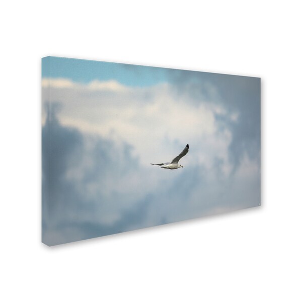 Jai Johnson 'Gull Over Paris Landing' Canvas Art,16x24